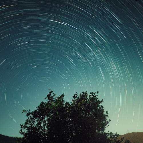 Photo #11929775