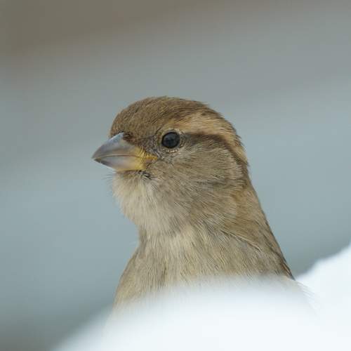 Photo #11929778