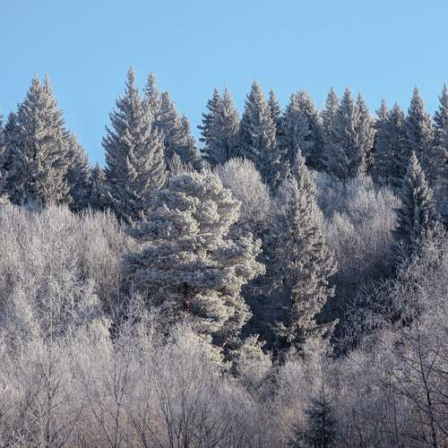 Photo #11929864