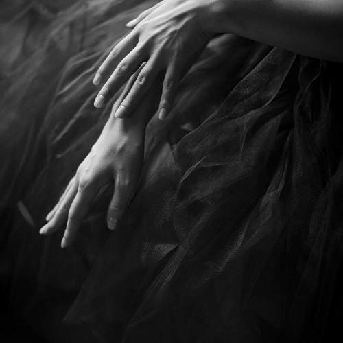 Photo #11930006
