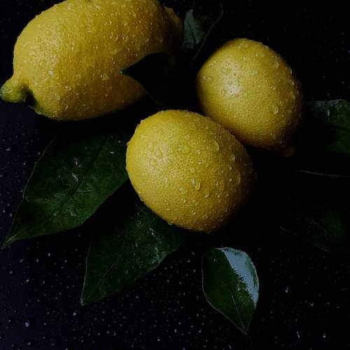 Photo #11930037