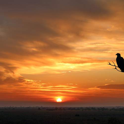 Фотография #11930076