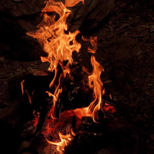 Photo #11930566