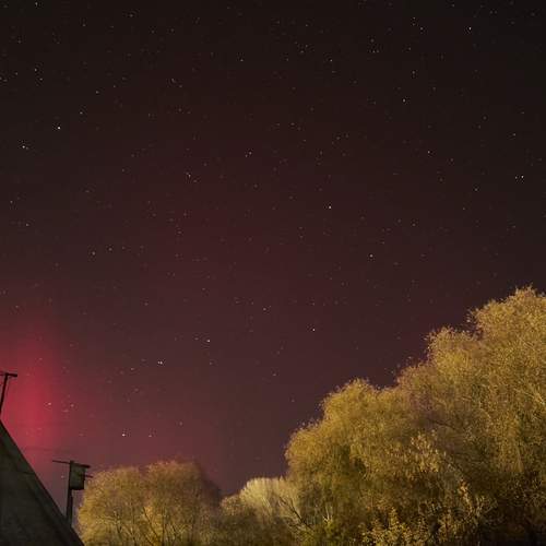 Photo #11930739