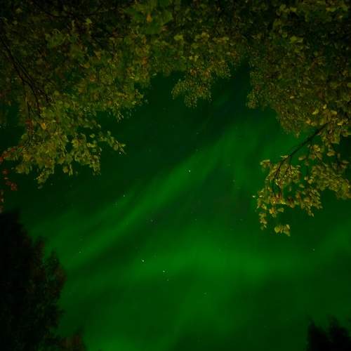 Photo #11930784