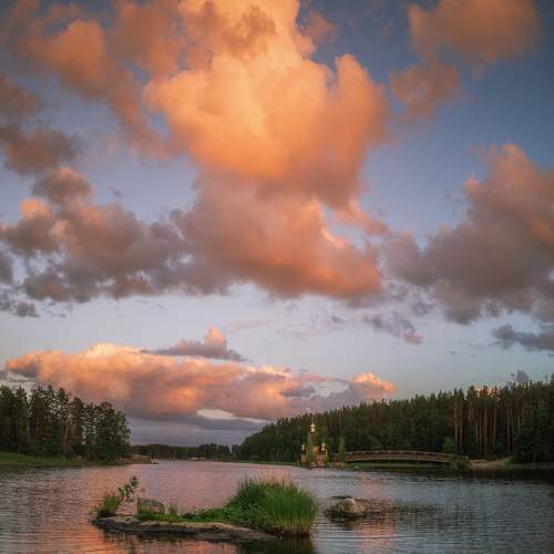 Photo #11930799