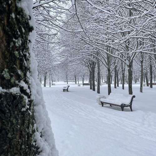 Photo #11930821