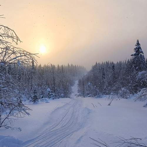 Photo #11930866