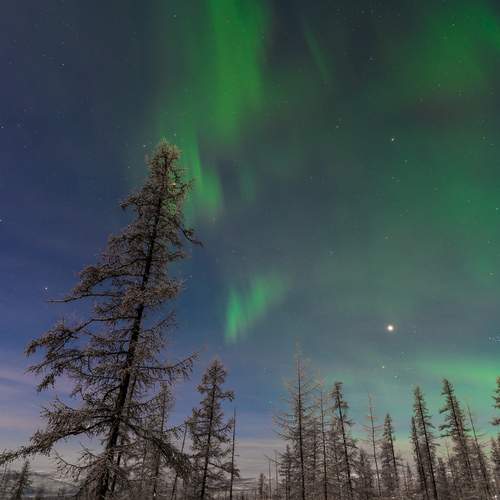 Photo #11930954