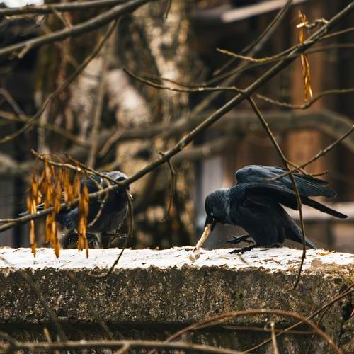 Photo #11930957