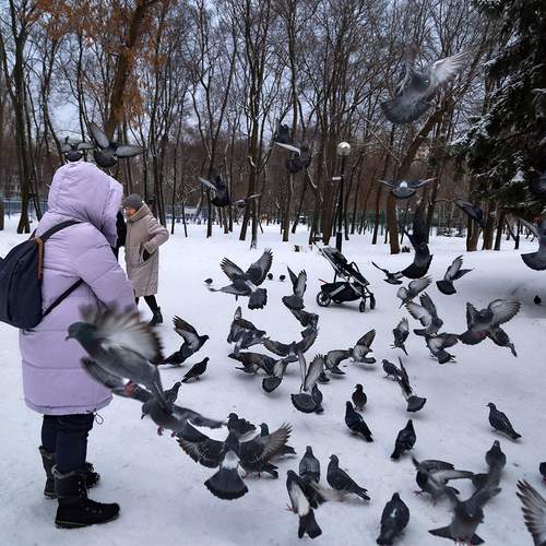 Photo #11930962