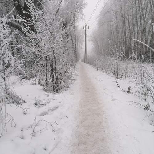 Photo #11930997