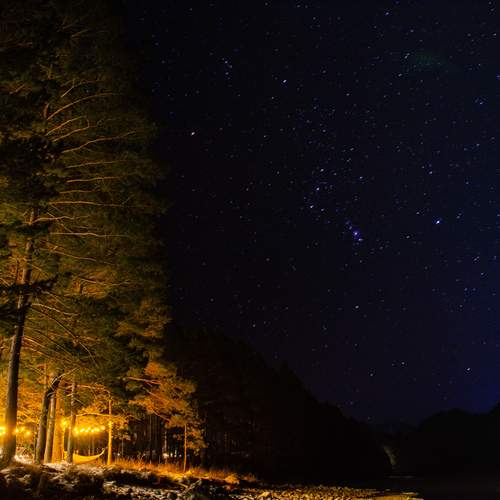 Photo #11931032