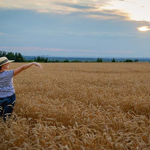Photo #11931190