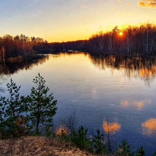Photo #11931230