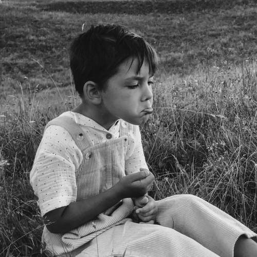 Photo #11931348