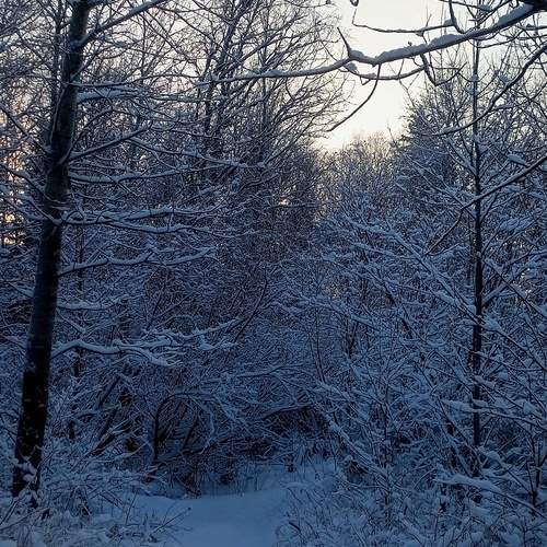 Photo #11931420