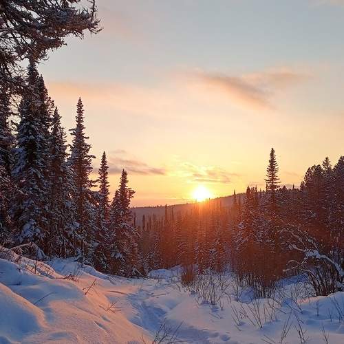 Photo #11931464
