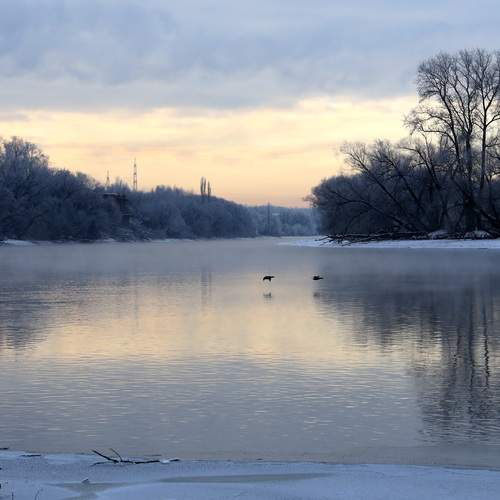Photo #11931474