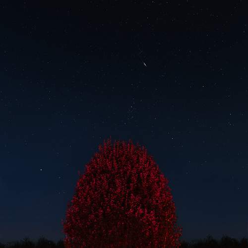 Photo #11931560