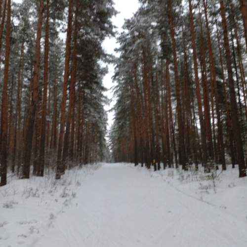 Photo #11931687