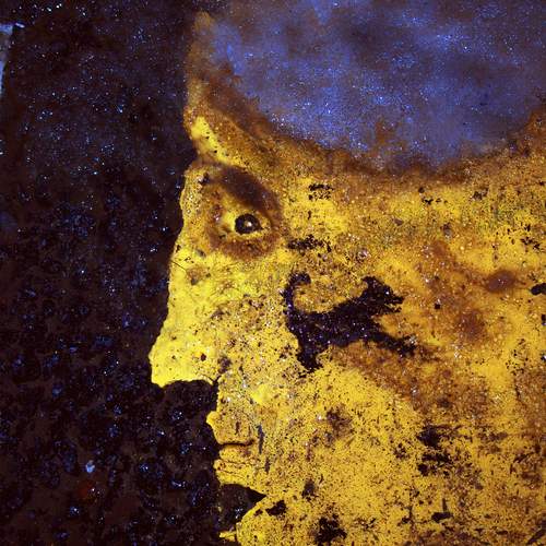 Photo #11931696