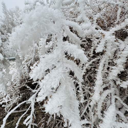 Photo #11931751