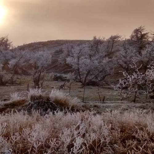 Photo #11931776