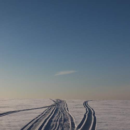 Photo #11931817