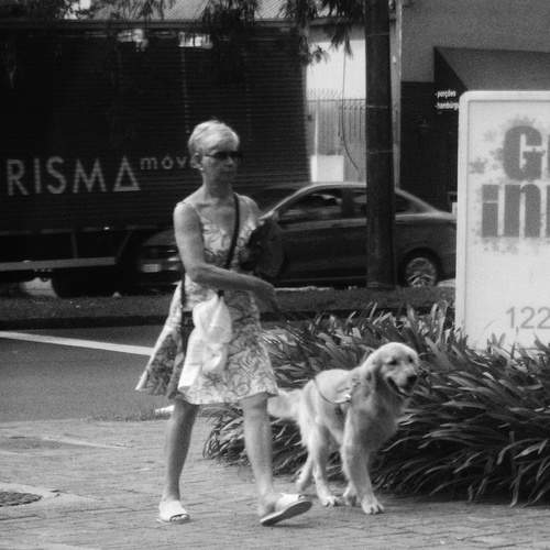 Photo #11932001