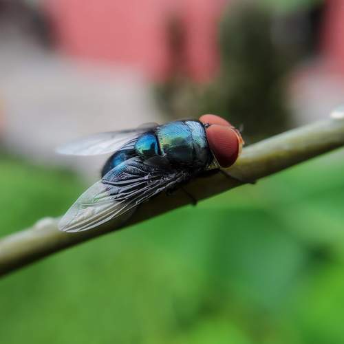 Photo #11932279