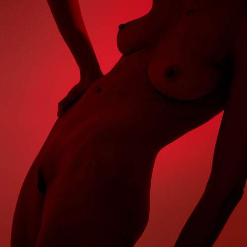 Photo #11932445