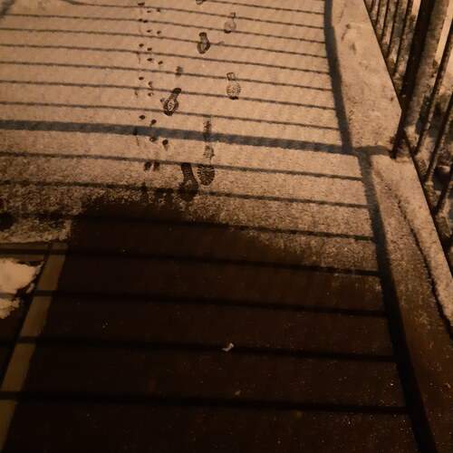 Photo #11932585