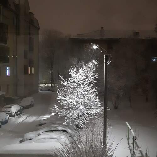 Photo #11932598