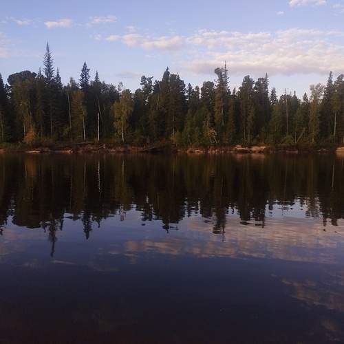 Photo #11932642