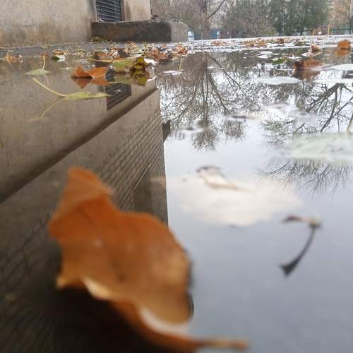 Photo #11932659