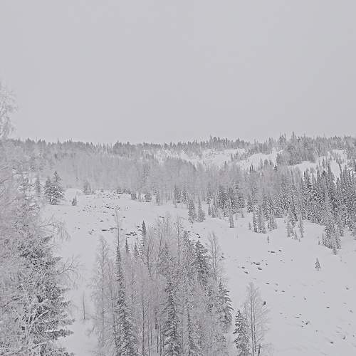 Photo #11932669