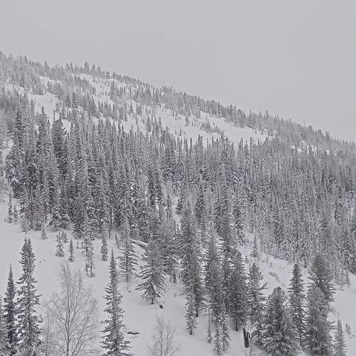 Photo #11932676
