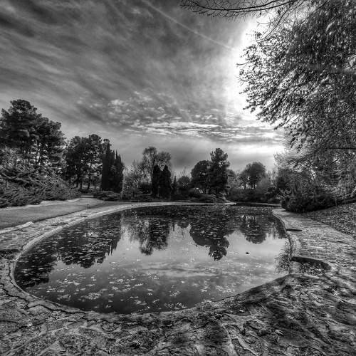Photo #11932869