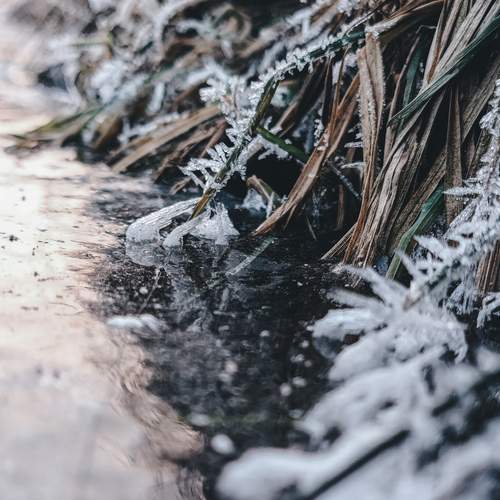 Photo #11933043