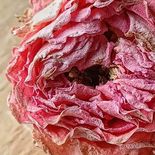 Photo #11933075