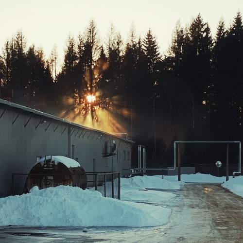 Photo #11933271