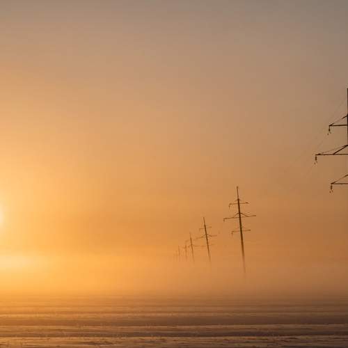 Photo #11933539