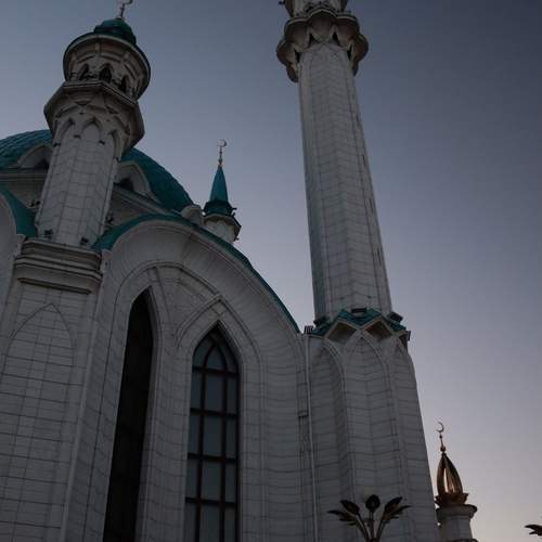 Photo #11933582