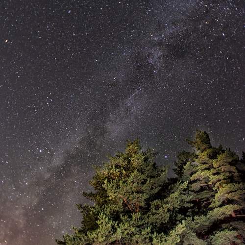 Photo #11933709