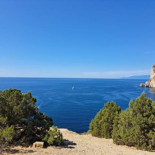 Photo #11933717