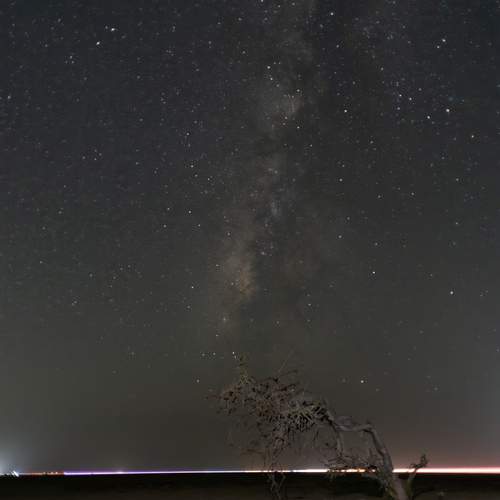 Photo #11933721