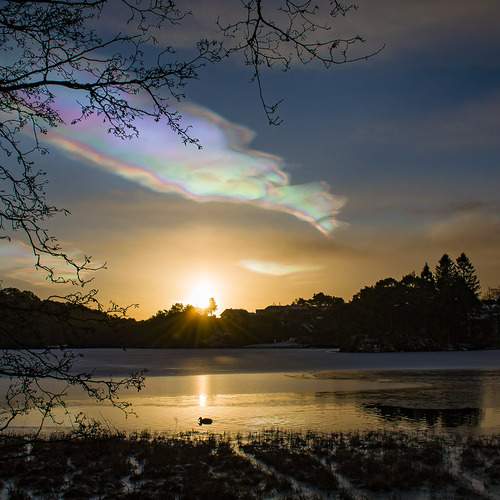 Photo #11933982