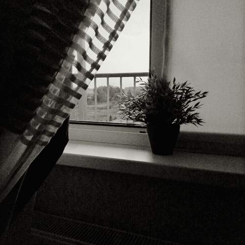 Photo #11933998