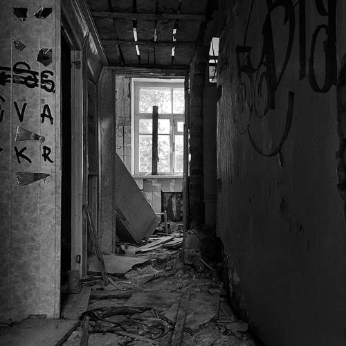 Photo #11934027